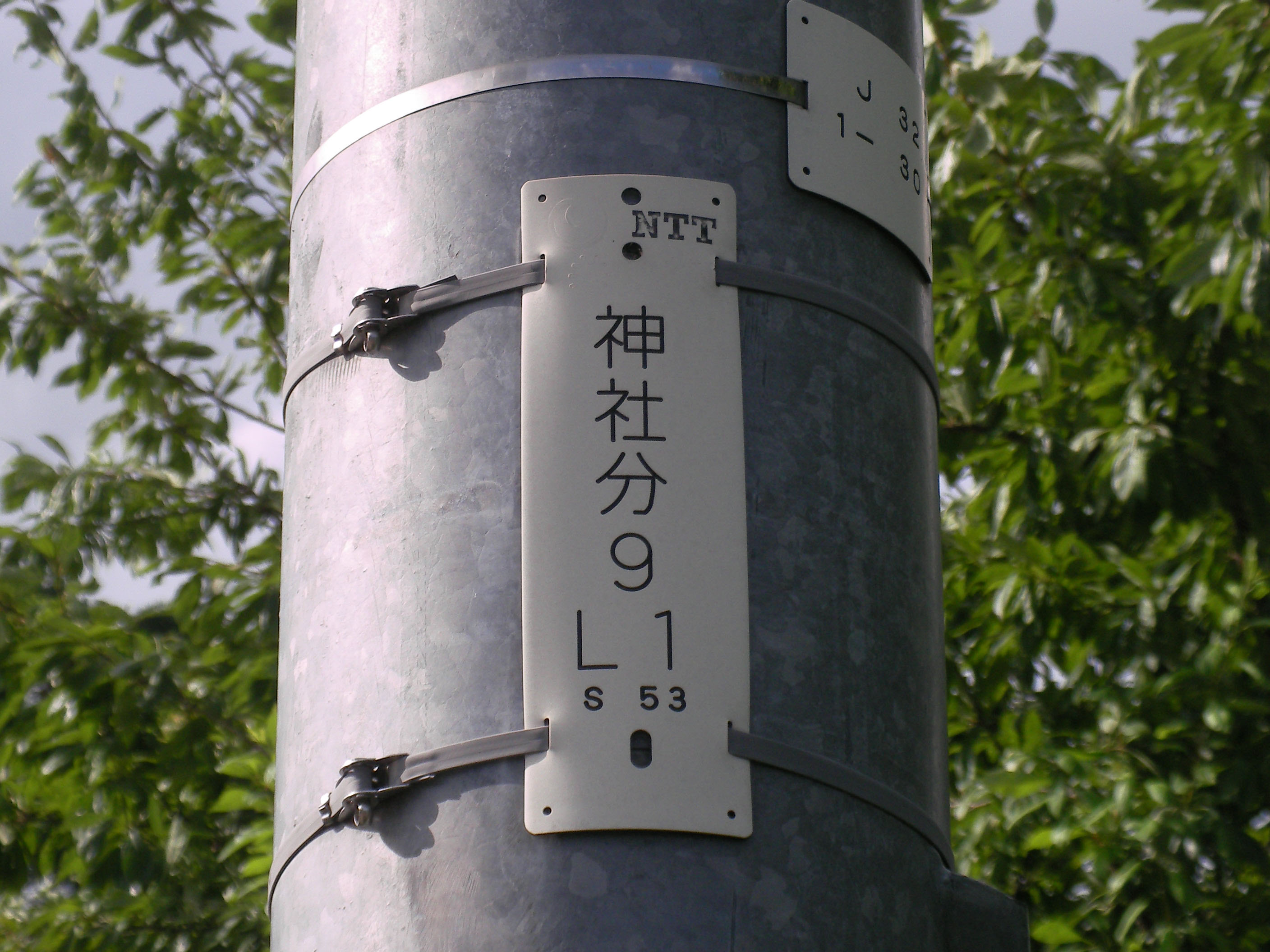電柱